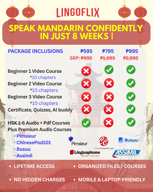 Mandarin Beginner to Intermediate Bundle